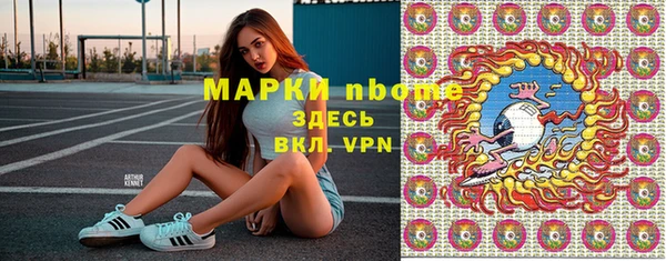 шишки Инта