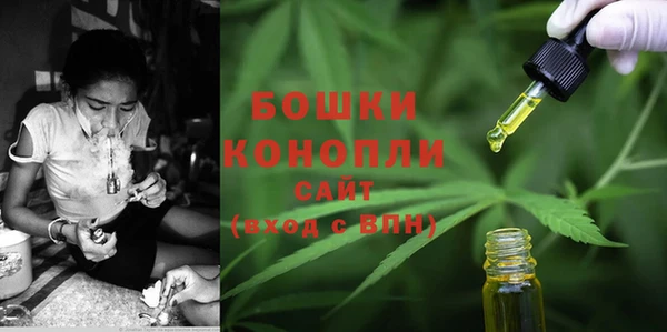 трава Каменногорск