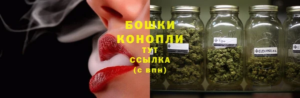 прущие грибы Касимов