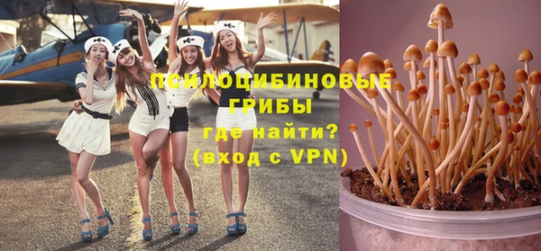 марки lsd Каменка
