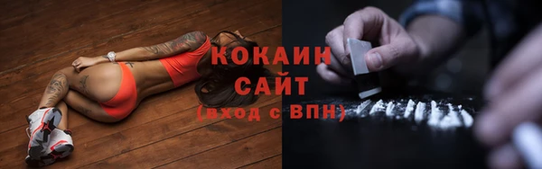 прущие грибы Касимов