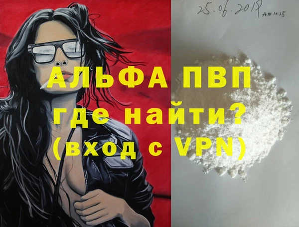 прущие грибы Касимов