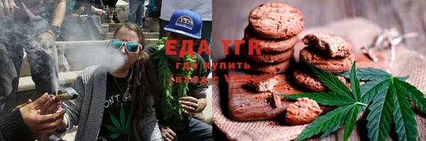 шишки Инсар
