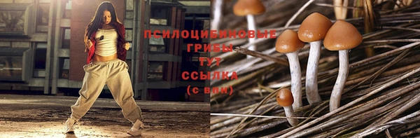 трава Каменногорск