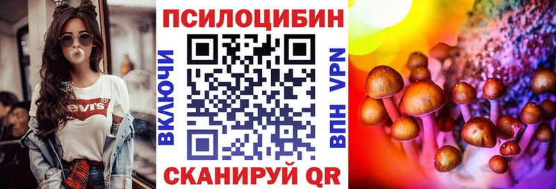 Псилоцибиновые грибы MAGIC MUSHROOMS  купить наркоту  Касли 